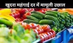 अगस्त में खुदरा महंगाई बढ़कर 2.07%,लगातार 7वें महीने RBI के 4% लक्ष्य से नीचे