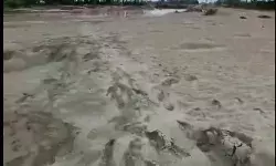 जो सोना उगलने वाले खेत, उनके हिस्से में बदनसीबी की रेत : पंजाब की बाढ़ की दर्दनाक हकीकत