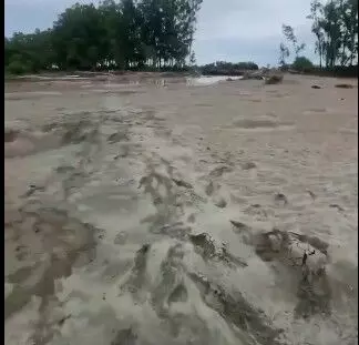 जो सोना उगलने वाले खेत, उनके हिस्से में बदनसीबी की रेत : पंजाब की बाढ़ की दर्दनाक हकीकत