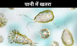 केरल में ‘ब्रेन ईटिंग अमीबा’ का कहर, दुनिया भर में फैला है संक्रमण