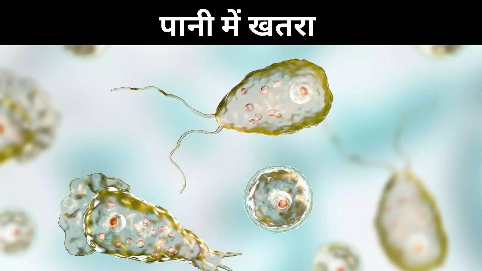 केरल में ‘ब्रेन ईटिंग अमीबा’ का कहर, दुनिया भर में फैला है संक्रमण केरल में ‘ब्रेन ईटिंग अमीबा’ का कहर, दुनिया भर में फैला है संक्रमण