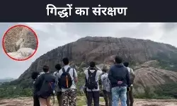 गिद्धों का आखिरी सुरक्षित आसरा रामदेवरा बेट्टा, कर्नाटक का प्रयास आया काम