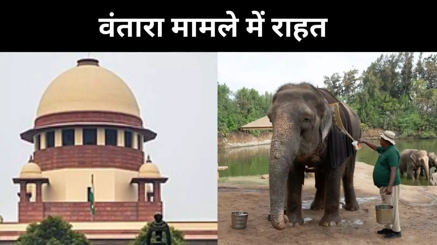 सुप्रीम कोर्ट की SIT ने वंतारा को दी क्लीन चिट, आरोप बेबुनियाद सुप्रीम कोर्ट की SIT ने वंतारा को दी क्लीन चिट, आरोप बेबुनियाद