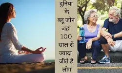 Ikigai Blue Zone longevity secrets plant-based diet