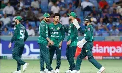 एशिया कप : हाथ न मिलाने के विवाद में हाई ड्रामा, रेफरी एंडी पायकॉफ्ट ने मांगी माफी, एक घंटे देरी से शुरू हुआ मैच