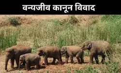 हाथी-सूअर-बंदर से तबाही, केरल सरकार लाई विवादित कानून