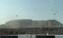 ITR रिटर्न के बाद अब रिफंड का इंतजार, जानिए कितने दिनों में मिलेगा पैसा?