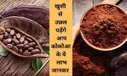 Cocoa flavanols Aging and inflammation Risk of heart attack Benefits of dark chocolate COSMOS trial