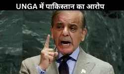 UNGA में बोले शहबाज शरीफ, सिंधु जल संधि को निलंबित करना भारत का युद्ध समान कदम