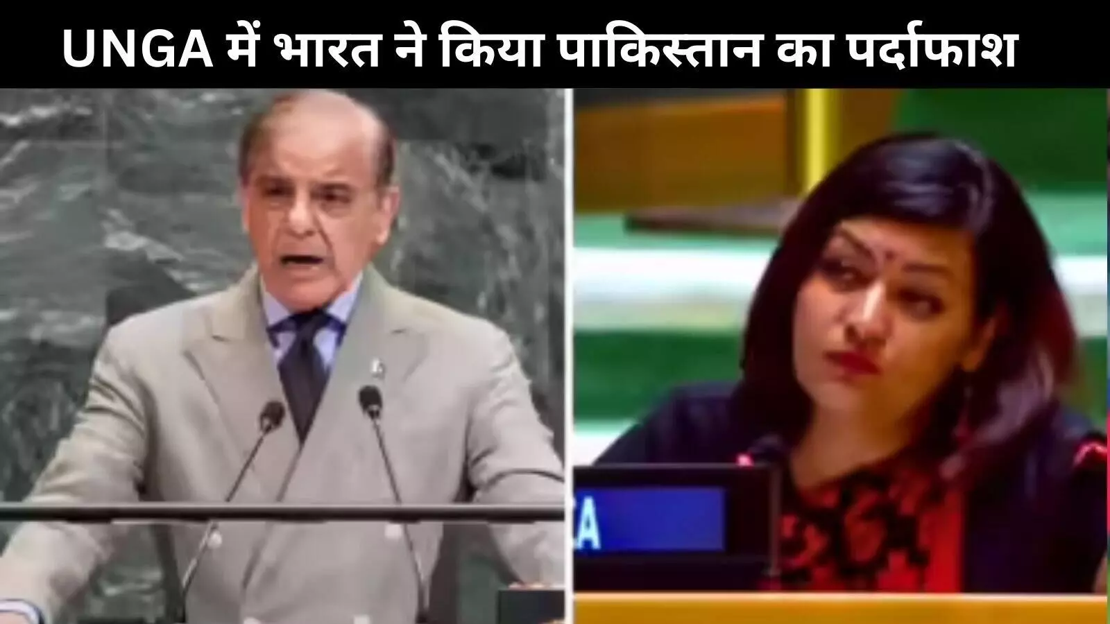 UNGA में भारत का करारा जवाब: शरीफ के भाषण को बताया नाटक, आतंक पर जमकर घेरा