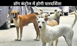 दिल्ली में डॉग कंट्रोल प्रोग्राम होगा स्मार्ट, लापरवाही पर NGOs पर लगेगा जुर्माना
