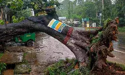 GST 2.0 और आपदा राहत: वित्तीय सुधार, लेकिन संवेदनशीलता का अभाव