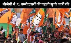 बीजेपी ने बिहार चुनावों के लिए 71 उम्मीदवारों के नामों का किया एलान, नंद किशोर यादव का टिकट कटा