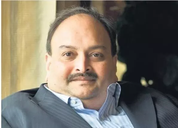 बेल्जियम की अदालत ने मेहुल चोकसी को भारत प्रत्यर्पित करने का आदेश दिया बेल्जियम की अदालत ने मेहुल चोकसी को भारत प्रत्यर्पित करने का आदेश दिया