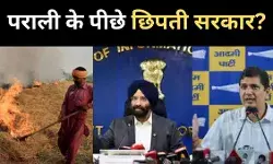 दिल्ली की ज़हरीली हवा के पीछे पंजाब की पराली वाली थ्योरी का सच क्या है?