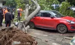 चक्रवात मोंथा आंध्र प्रदेश  में टकराया, एक की मौत, ओडिशा में मूसलाधार बारिश