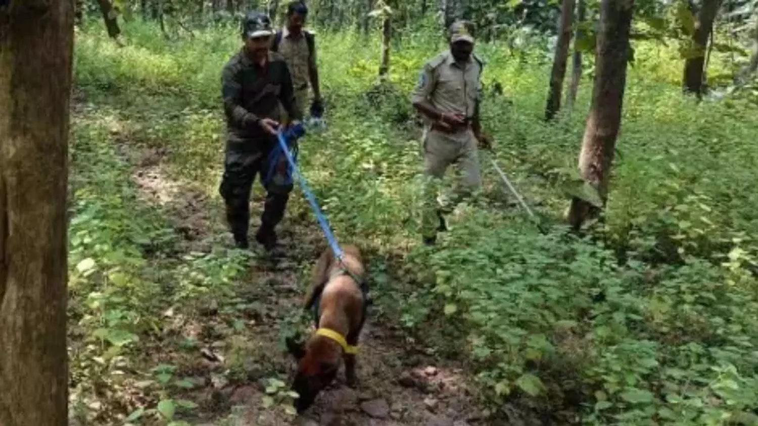 कवाल टाइगर रिज़र्व में तौलिये से टूटी तस्करी की कड़ी,  ‘हंटर’ बना हीरो कवाल टाइगर रिज़र्व में तौलिये से टूटी तस्करी की कड़ी,  ‘हंटर’ बना हीरो