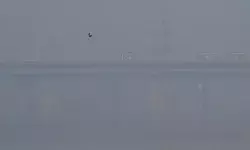 दिल्ली की हवा इस सीजन में सबसे खराब स्तर पर, AQI 366, जल्द ‘गंभीर’ श्रेणी में पहुंचेगी