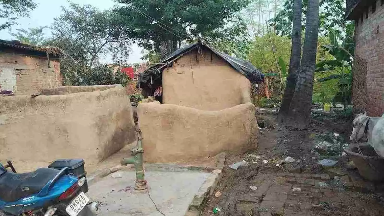 सम्मान की ज़िन्दगी की चाह रखने वाले मुसहर जाति के पास है गया की तीन सीटों की चाबी सम्मान की ज़िन्दगी की चाह रखने वाले मुसहर जाति के पास है गया की तीन सीटों की चाबी