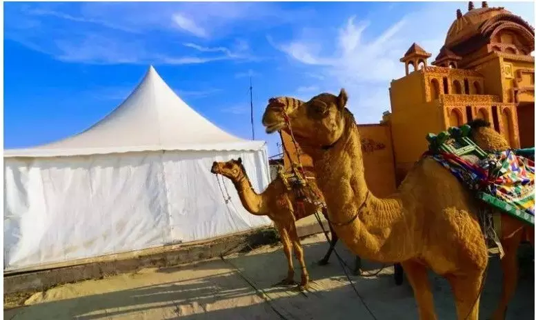 GIFT सिटी की ‘सफलता’ के बाद, गुजरात तीन और जगहों पर शराबबंदी में ढील देगा GIFT सिटी की ‘सफलता’ के बाद, गुजरात तीन और जगहों पर शराबबंदी में ढील देगा