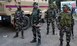 उपचुनाव परिणाम: मिजोरम में MNF जीती; तेलंगाना में कांग्रेस आगे, नागरोटा में BJP विजयी