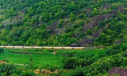 साउदर्न रेलवे में यात्रियों की सुरक्षा पर बड़ा खतरा, RTI में खुलासा