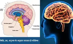जीवन को ढंग से जीने के लिए 5 बार आपका दिमाग खुद को करता है री-वायर
