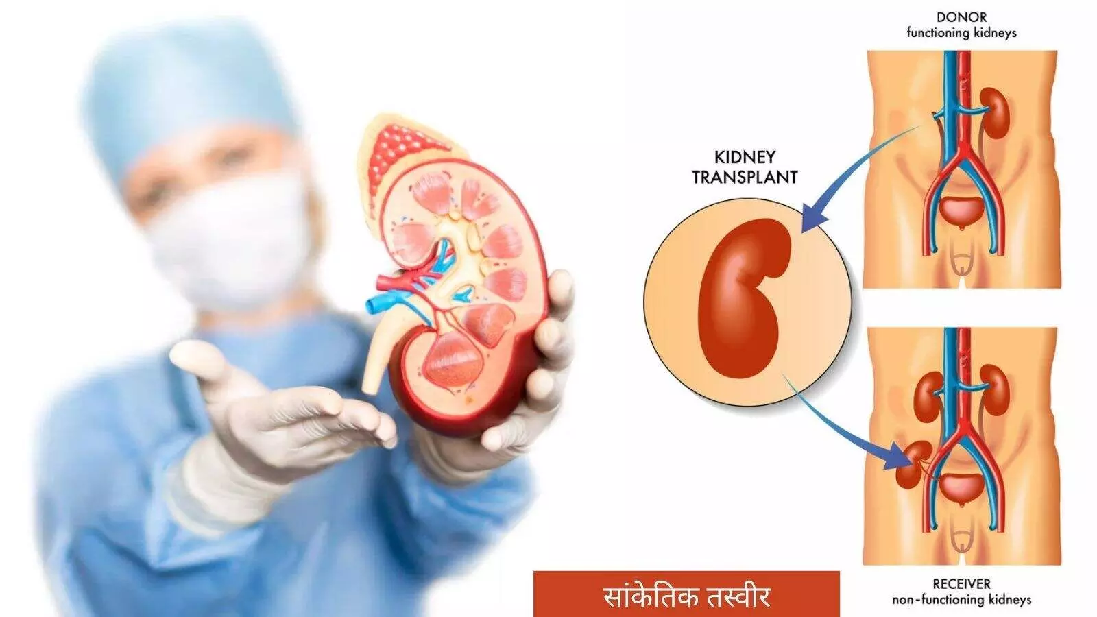 ब्रेन-डेड डोनर, रोबोटिक सर्जरी और ऑर्गन ट्रांसप्लांट में नया कीर्तिमान ब्रेन-डेड डोनर, रोबोटिक सर्जरी और ऑर्गन ट्रांसप्लांट में नया कीर्तिमान