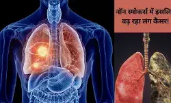 सैकेंड-हैंड कारणों से बढ़ रहा है फेफड़ों का कैंसर, जागरूकता से बचाव