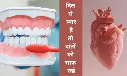 दिल का दांतों से है सीधा कनेक्शन, हार्ट अटैक से बचना है तो करें ये काम
