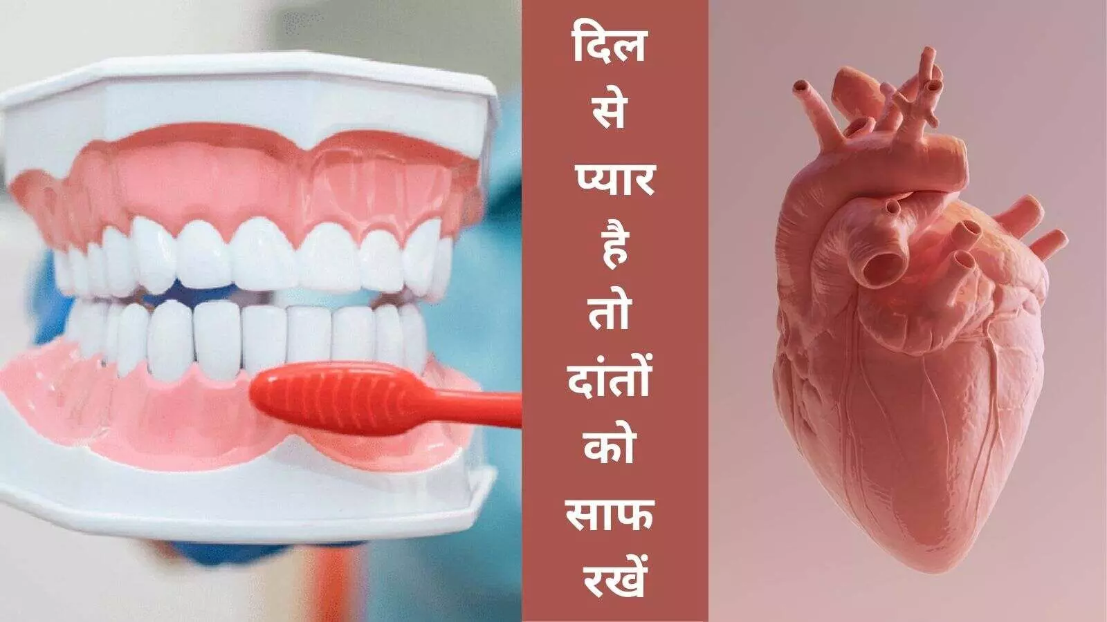 दिल का दांतों से है सीधा कनेक्शन, हार्ट अटैक से बचना है तो करें ये काम