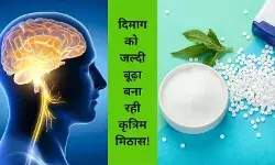 मीठे का चस्का बना रहा बूढ़ा, आर्टिफिशियल शुगर और ब्रेन एजिंग कनेक्शन