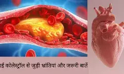 कॉलेस्ट्रॉल से जुड़े इन भ्रम का शिकार हैं ज्यादातर लोग, क्या आप भी?