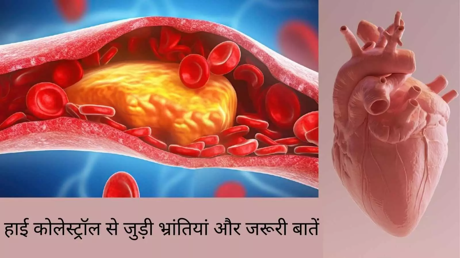कॉलेस्ट्रॉल से जुड़े इन भ्रम का शिकार हैं ज्यादातर लोग, क्या आप भी?