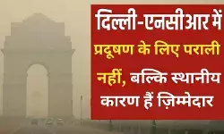 दिल्ली-एनसीआर के प्रदूषण के लिए पराली नहीं बल्कि स्थानीय स्रोत हैं दोषी