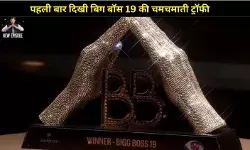 बिग बॉस 19 की शाही ट्रॉफी पर सलमान का पोज, मालती बाहर ये रहे टॉप 5 फाइनलिस्ट!