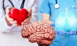 हृदय, मस्तिषक और फेफड़ों पर सर्दी का खतरा! युवा रखें इन बातों का ध्यान