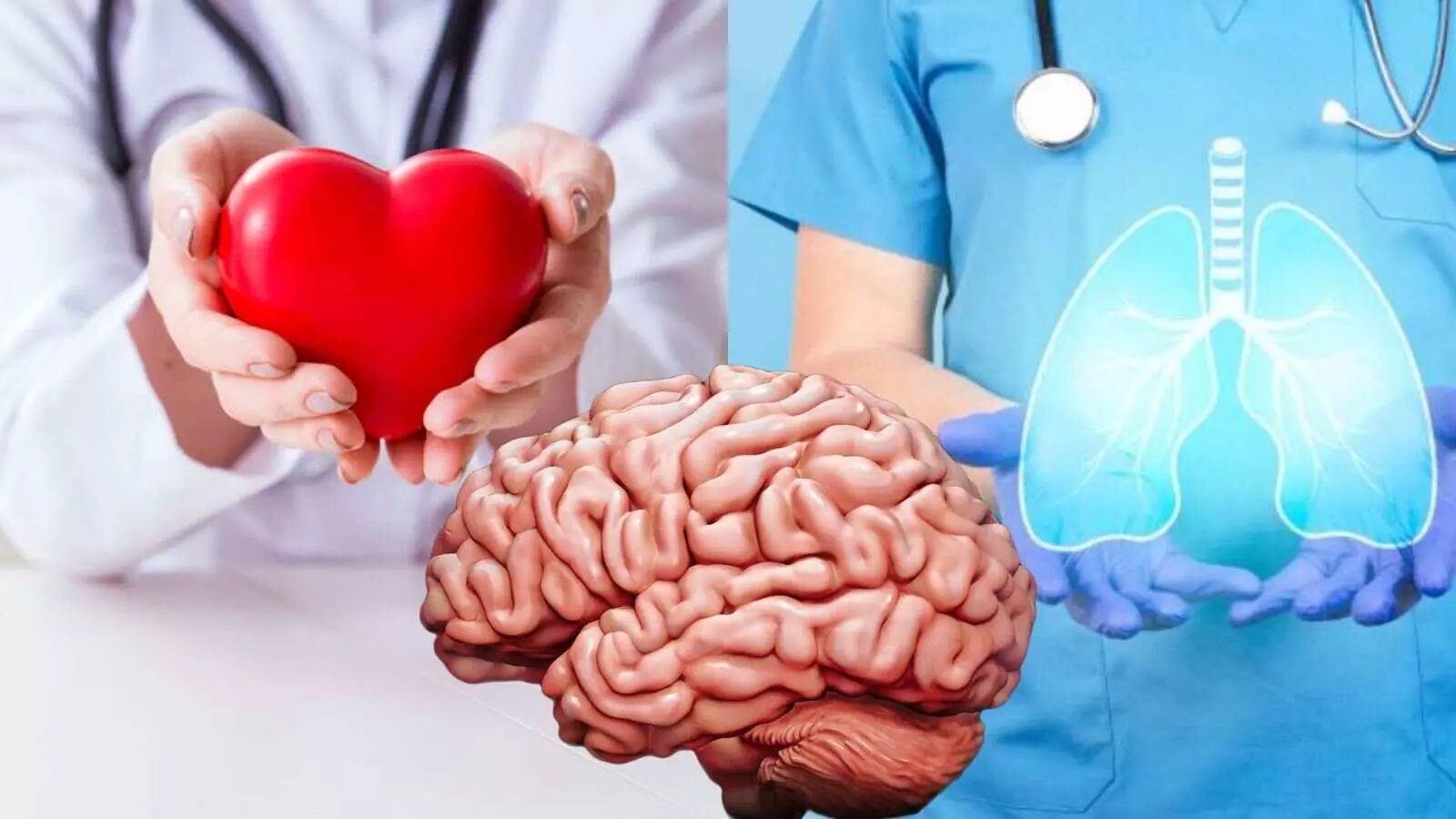 हृदय, मस्तिषक और फेफड़ों पर सर्दी का खतरा! युवा रखें इन बातों का ध्यान