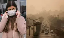 शरीर को अंदर से खोखला कर रहा है प्रदूषण, ब्रेन पर गंभीर प्रभाव