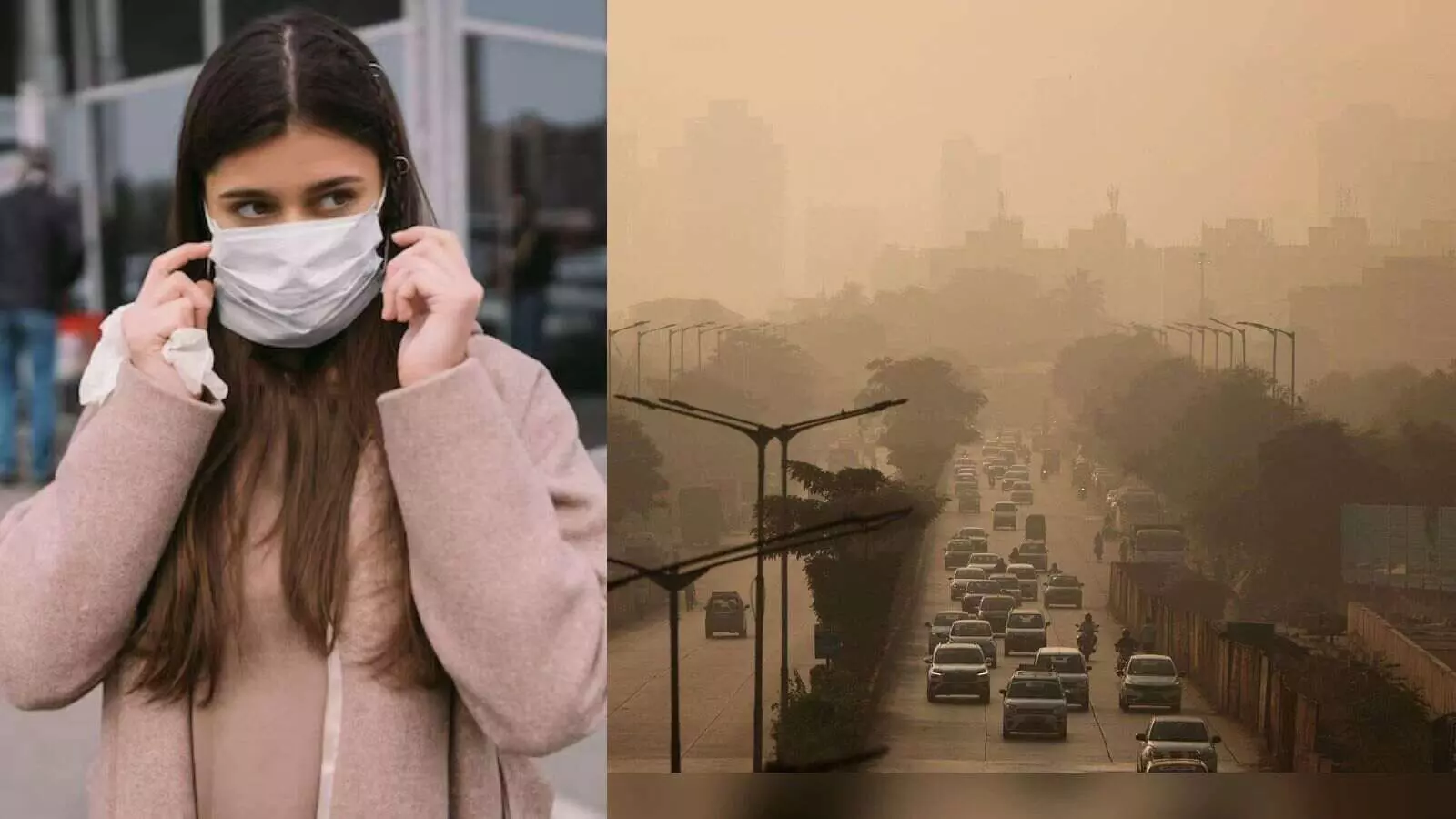 शरीर को अंदर से खोखला कर रहा है प्रदूषण, ब्रेन पर गंभीर प्रभाव शरीर को अंदर से खोखला कर रहा है प्रदूषण, ब्रेन पर गंभीर प्रभाव