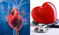 क्यों डॉक्टर कह रहे हैं कि 40 की उम्र में हार्ट अटैक का है अधिक खतरा?