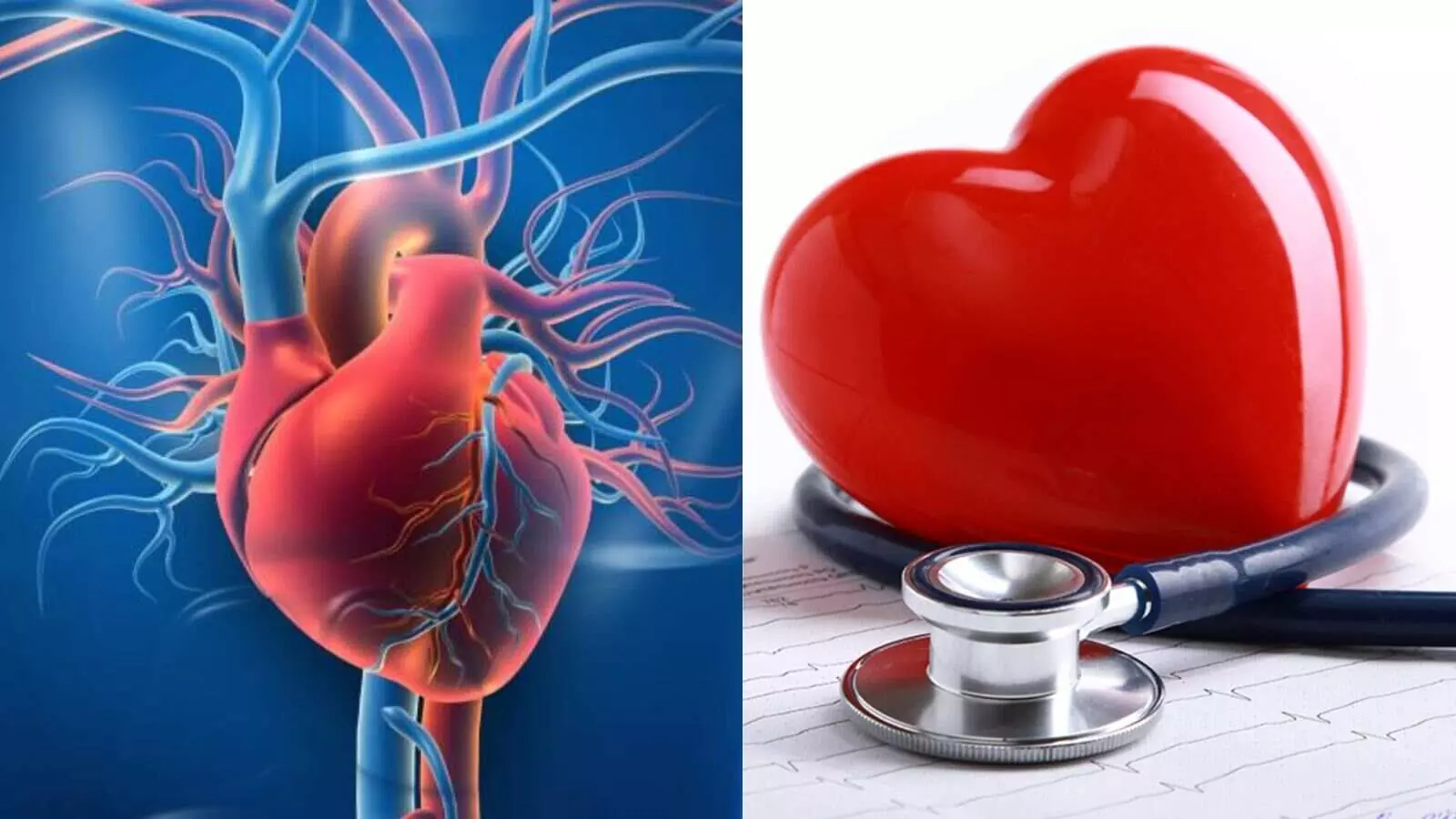 क्यों डॉक्टर कह रहे हैं कि 40 की उम्र में हार्ट अटैक का है अधिक खतरा? क्यों डॉक्टर कह रहे हैं कि 40 की उम्र में हार्ट अटैक का है अधिक खतरा?