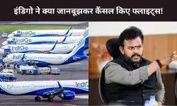 Indigo flight Crisis