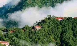 WFH या हॉलिडे पैकेज? काम हुआ प्रभावित तो स्टेकेशन पर कर्मचारी ने मांगा 5G