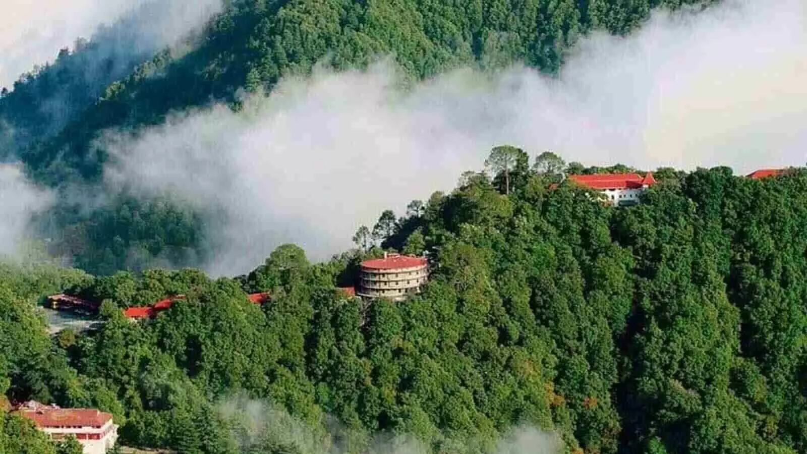 WFH या हॉलिडे पैकेज? काम हुआ प्रभावित तो स्टेकेशन पर कर्मचारी ने मांगा 5G WFH या हॉलिडे पैकेज? काम हुआ प्रभावित तो स्टेकेशन पर कर्मचारी ने मांगा 5G