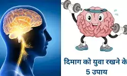 ना थकेगा दिमाग ना भूलेगा काम, डॉक्टर ने बताए यंग ब्रेन के 5 सीक्रेट्स