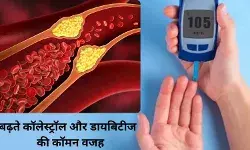 अग्नाश्य में घटा विटामिन-डी तो घेर लेगी डायबिटीज और बढ़ेगा कोलेस्ट्रॉल