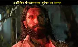 धुआंधार ‘धुरंधर’ के 14 दिन! पुष्पा 2 से भी ज्यादा तूफानी रफ्तार