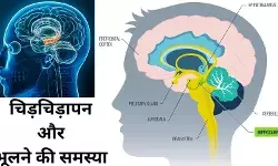 चिड़चिड़े हो रहे हैं, चीजें याद नहीं रहतीं? हिपोकैंपस मदद मांग रहा है!