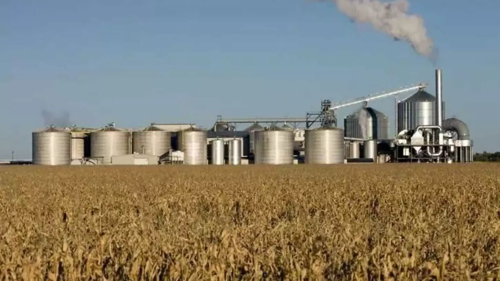 तेलंगाना में एथेनॉल प्लांट को लेकर बढ़ी चिंता, रेवंत रेड्डी की योजना पर विवाद तेलंगाना में एथेनॉल प्लांट को लेकर बढ़ी चिंता, रेवंत रेड्डी की योजना पर विवाद